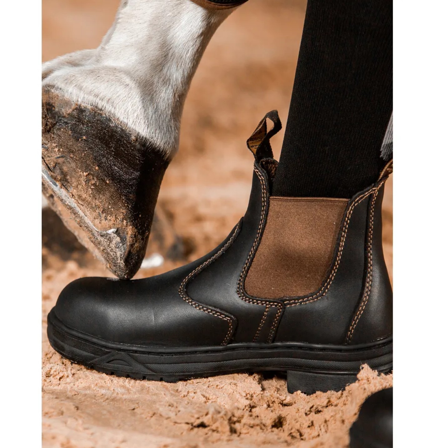Mountain Horse Jodhpur-Zugstiefeletten PROTECTIVE JODHPUR JR